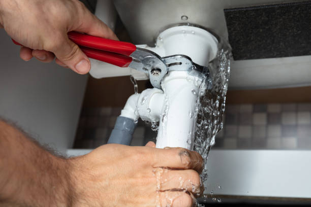 Best Fire Damage Restoration  in Lake Of The Woods, VA