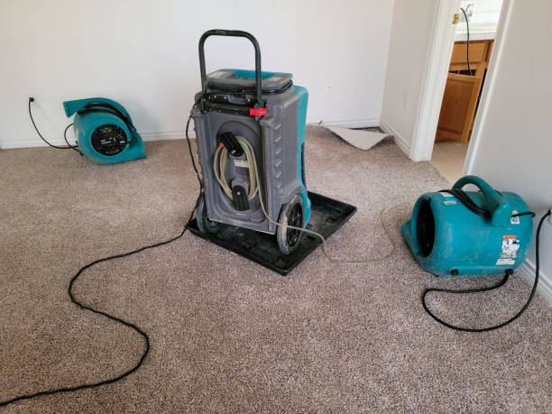 Best Water damage restoration near me  in Lake Of The Woods, VA