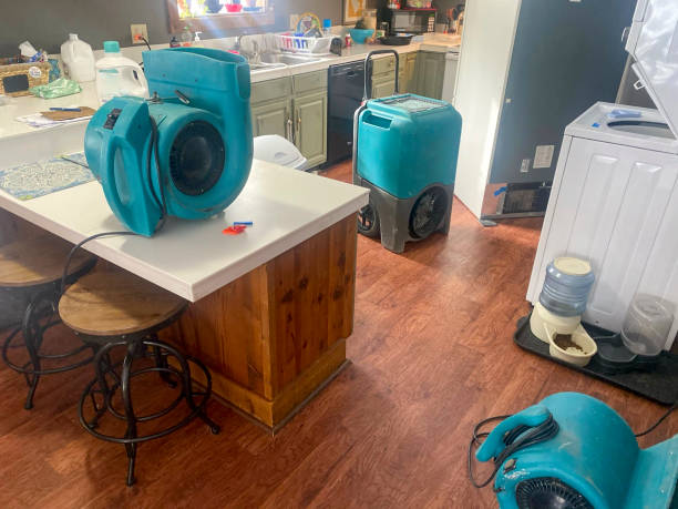 Best Water damage contractors near me  in Lake Of The Woods, VA