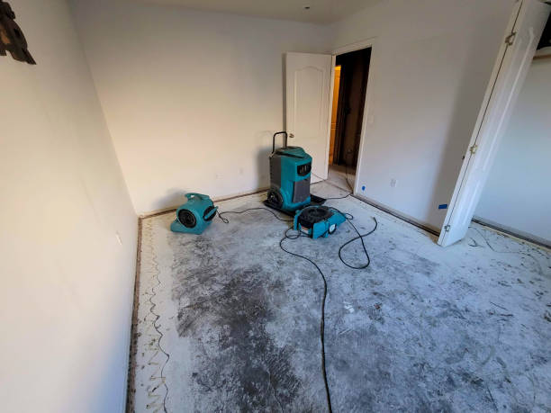 Best 24-hour water damage restoration  in Lake Of The Woods, VA