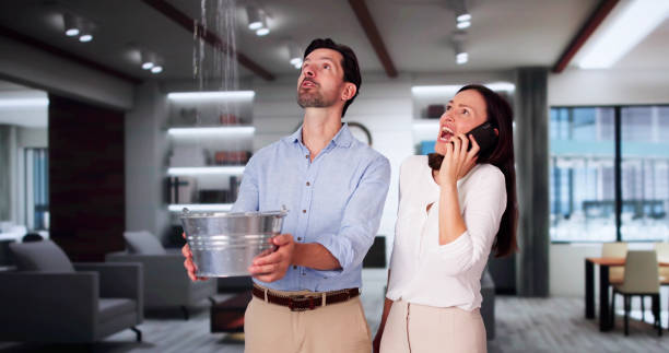 Best Water damage restoration services  in Lake Of The Woods, VA